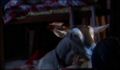 dr dolittle 3-avi_823.jpg